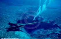 Morrison Springs, Florida