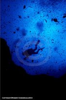 Morrison Springs, Florida